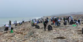 Voluntarios de colegios, universidades, empresas y la ciudadanía participarán en una jornada masiva de recolección de residuos en playas de Lima.