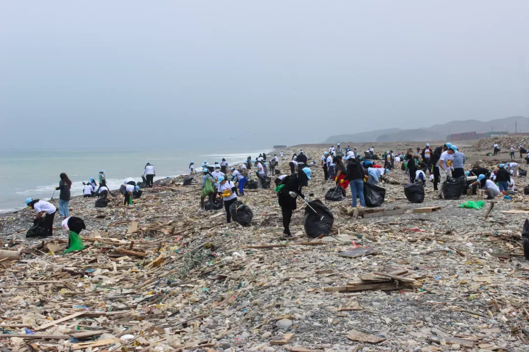 Voluntarios de colegios, universidades, empresas y la ciudadanía participarán en una jornada masiva de recolección de residuos en playas de Lima.