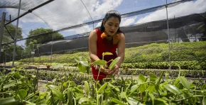 Los emprendimientos sociales reconocidos por la UPC actúan como agentes de cambio, conectando el propósito social con la viabilidad económica y promoviendo un desarrollo más equitativo e innovador.