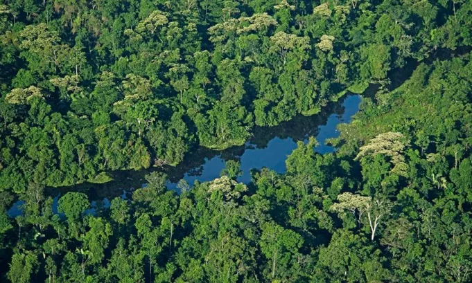 El nuevo fondo Amazon Forest-RE Fund FI canalizará inversiones hacia proyectos sostenibles en la Amazonía peruana, combinando rentabilidad financiera con impacto ambiental y social.