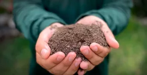 Lima Compost impulsa los “Parques Circulares”, una iniciativa que convierte las heces caninas en compost para áreas verdes.