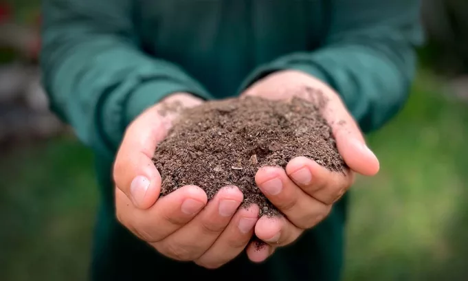 Lima Compost impulsa los “Parques Circulares”, una iniciativa que convierte las heces caninas en compost para áreas verdes.