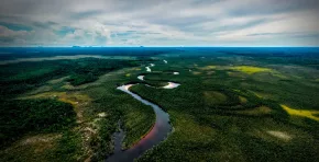 El banco de desarrollo de América Latina y el Caribe destinará USD 40.000 millones a proyectos verdes, infraestructura sostenible y resiliencia climática.