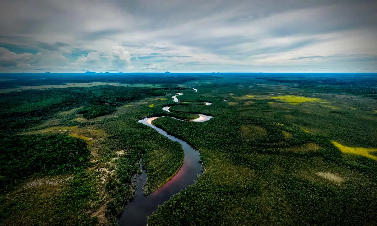 El banco de desarrollo de América Latina y el Caribe destinará USD 40.000 millones a proyectos verdes, infraestructura sostenible y resiliencia climática.