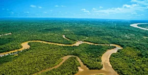 La deforestación del Amazonas amenaza no solo la biodiversidad, sino también los territorios ancestrales de más de 400 pueblos indígenas.