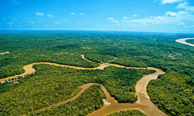 La deforestación del Amazonas amenaza no solo la biodiversidad, sino también los territorios ancestrales de más de 400 pueblos indígenas.