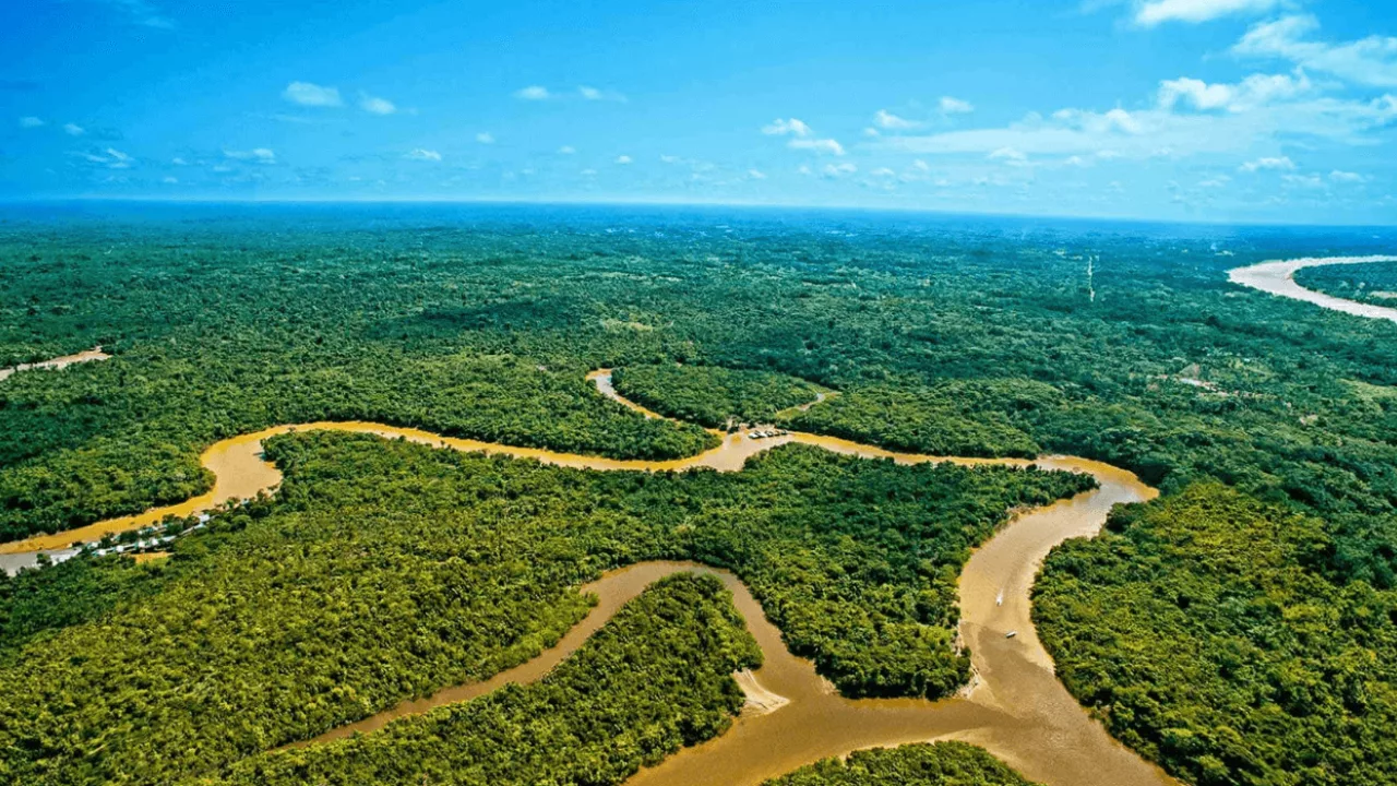 La deforestación del Amazonas amenaza no solo la biodiversidad, sino también los territorios ancestrales de más de 400 pueblos indígenas.