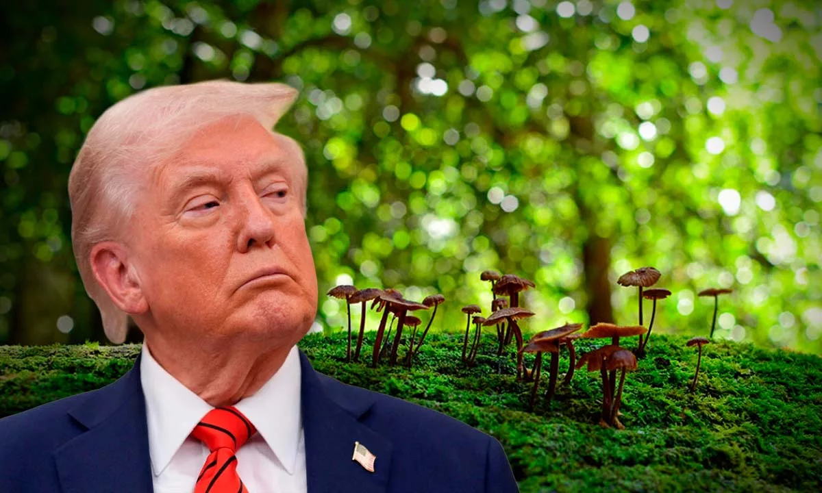 Con un discurso que tilda la crisis climática de “farsa”, el presidente Donald Trump reduce la presencia estadounidense en la COP30. Foto: Stakeholders