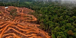 Esta tendencia está redefiniendo la gestión corporativa en el país, impulsando nuevas estrategias de eficiencia, cultura organizacional y crecimiento sostenible.