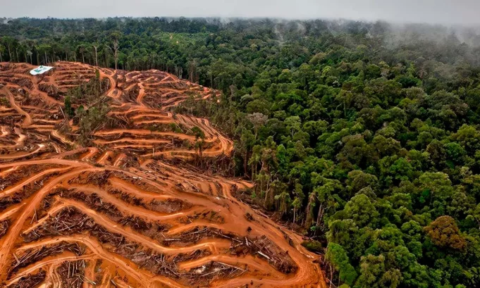 Esta tendencia está redefiniendo la gestión corporativa en el país, impulsando nuevas estrategias de eficiencia, cultura organizacional y crecimiento sostenible.