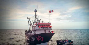 Conoce cómo funciona Salvamares, el programa peruano que forma a tripulantes para rescatar y registrar especies marinas en riesgo.