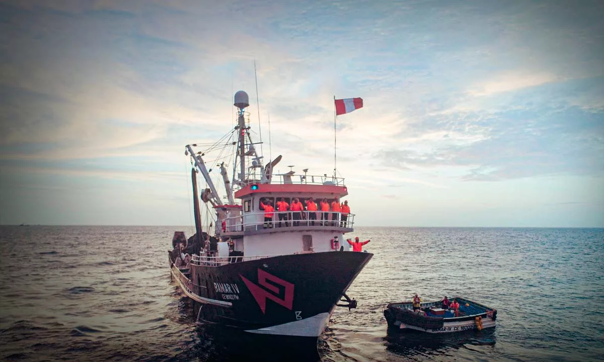 Conoce cómo funciona Salvamares, el programa peruano que forma a tripulantes para rescatar y registrar especies marinas en riesgo.