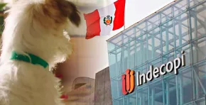 Indecopi confirmó una multa de 117,68 UIT contra Nestlé tras comprobar que 28 alimentos para mascotas destacaban ingredientes como “atún” o “pollo” pese a contener mezclas de otras carnes. Foto: Stakeholders.