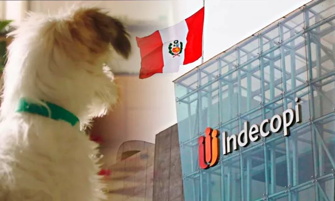Indecopi confirmó una multa de 117,68 UIT contra Nestlé tras comprobar que 28 alimentos para mascotas destacaban ingredientes como “atún” o “pollo” pese a contener mezclas de otras carnes. Foto: Stakeholders.
