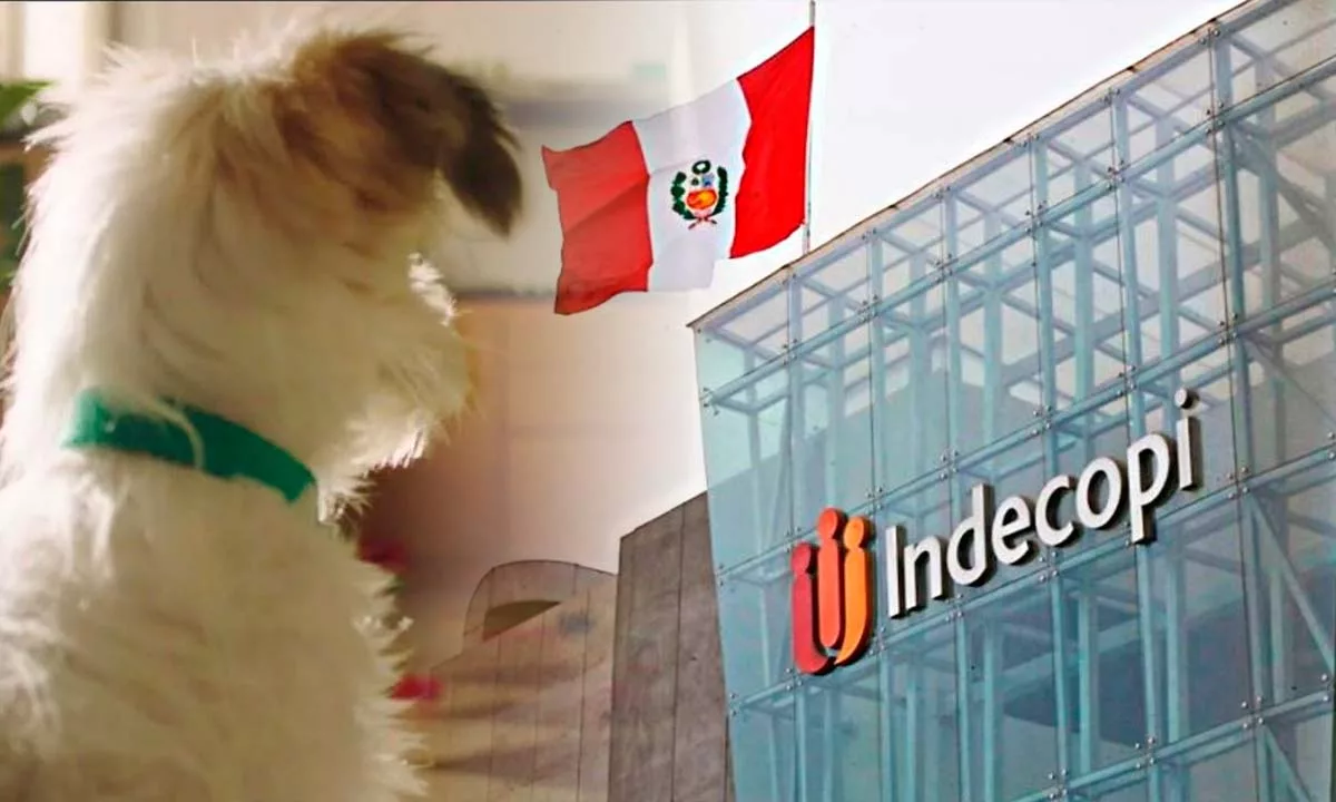 Indecopi confirmó una multa de 117,68 UIT contra Nestlé tras comprobar que 28 alimentos para mascotas destacaban ingredientes como “atún” o “pollo” pese a contener mezclas de otras carnes. Foto: Stakeholders.