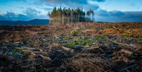 El estudio muestra una amplia brecha regional: mientras México y Brasil incrementan su nivel de alerta, otros países como Perú, Argentina y Chile reducen su preocupación.