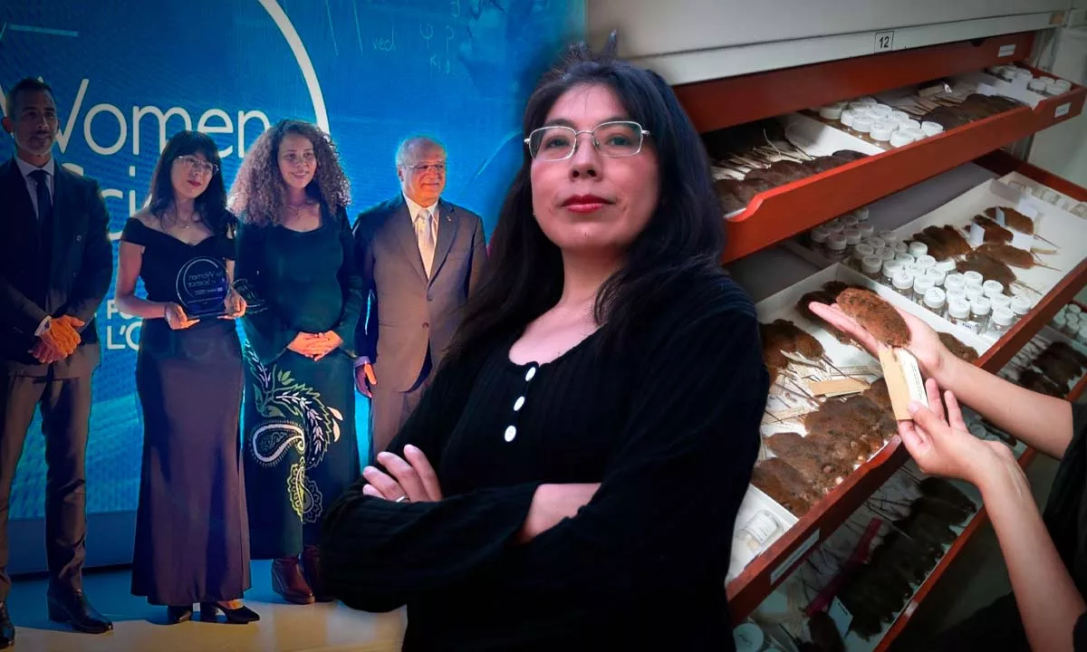 El proyecto de Dennisse Ruelas busca descifrar la historia evolutiva del género Thomasomys, utilizando herramientas genéticas y morfológicas. Foto: Stakeholders.