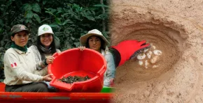 El proyecto pertenece en el Plan de Manejo para la recuperación de la especie y el futuro Mecanismo de Retribución por Servicios Ecosistémicos enfocado en la biodiversidad.