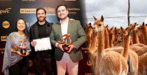 Descubre cómo el proyecto de KUNA rescató a la vicuña mediante prácticas sostenibles y trabajo comunitario, convirtiéndose en un referente de conservación en Perú. Foto: Stakeholders.