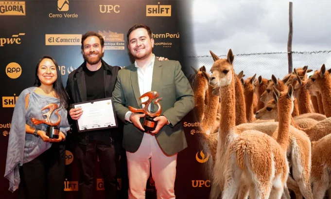 Descubre cómo el proyecto de KUNA rescató a la vicuña mediante prácticas sostenibles y trabajo comunitario, convirtiéndose en un referente de conservación en Perú. Foto: Stakeholders.
