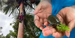 Con el apoyo del Grupo AJE y diversas instituciones, estas iniciativas fortalecen el ecoturismo y generan oportunidades para las comunidades de Loreto. Foto: Stakeholders.