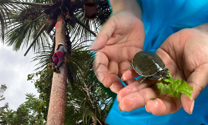 Con el apoyo del Grupo AJE y diversas instituciones, estas iniciativas fortalecen el ecoturismo y generan oportunidades para las comunidades de Loreto. Foto: Stakeholders.