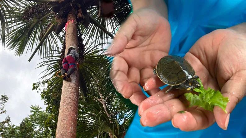 Con el apoyo del Grupo AJE y diversas instituciones, estas iniciativas fortalecen el ecoturismo y generan oportunidades para las comunidades de Loreto. Foto: Stakeholders.