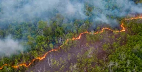 La Amazonía sufrió más de 12.500 desastres climáticos en una década, pero muchos no fueron reportados oficialmente. Un estudio alerta sobre la falta de monitoreo y el avance acelerado de la crisis ambiental.