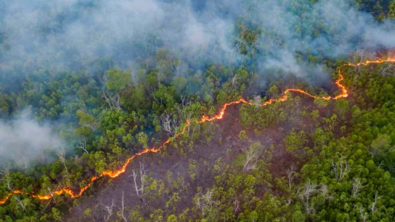 La Amazonía sufrió más de 12.500 desastres climáticos en una década, pero muchos no fueron reportados oficialmente. Un estudio alerta sobre la falta de monitoreo y el avance acelerado de la crisis ambiental.