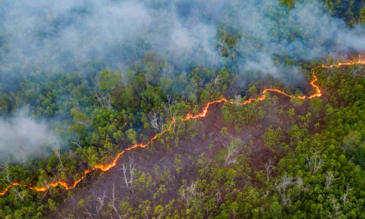 La Amazonía sufrió más de 12.500 desastres climáticos en una década, pero muchos no fueron reportados oficialmente. Un estudio alerta sobre la falta de monitoreo y el avance acelerado de la crisis ambiental.