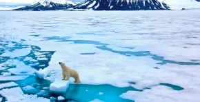El Ártico registra un deshielo sin precedentes que altera corrientes oceánicas, eleva el nivel del mar y redefine el equilibrio climático del planeta, con impactos más allá de la región polar.
