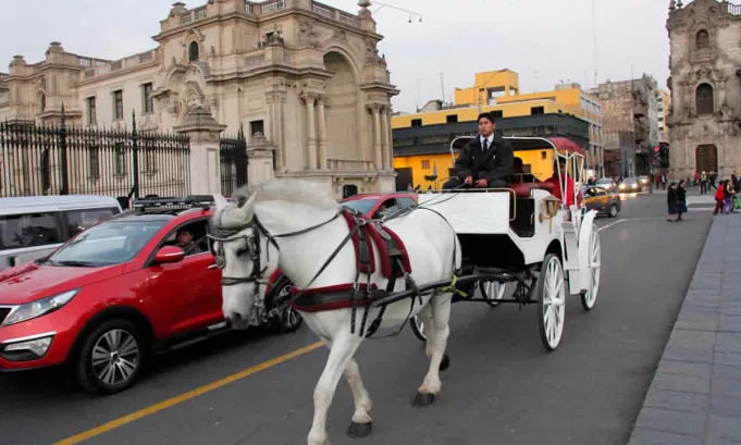El Poder Judicial ordenó a la Municipalidad de Lima anular permisos y cancelar definitivamente las calesas con caballos en el Centro Histórico.