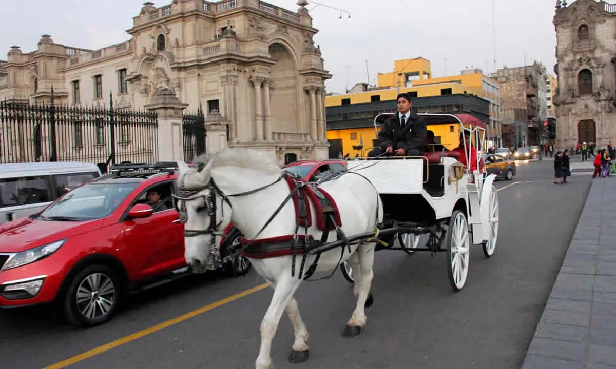 El Poder Judicial ordenó a la Municipalidad de Lima anular permisos y cancelar definitivamente las calesas con caballos en el Centro Histórico.