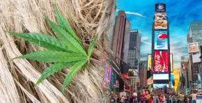 Nueva York acelera la construcción con cáñamo al promover biomateriales libres de tóxicos con el respaldo de universidades, agricultores y políticas públicas.