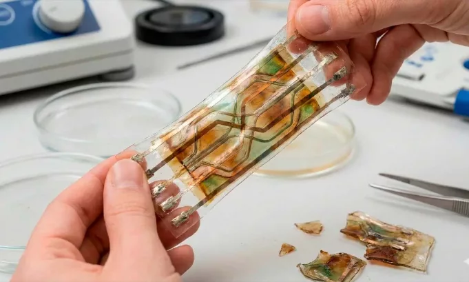 La innovación demuestra que es posible fabricar fuentes de energía seguras, extensibles y completamente degradables, reduciendo residuos electrónicos y abriendo paso a una nueva generación de tecnologías portátiles ecoamigables.