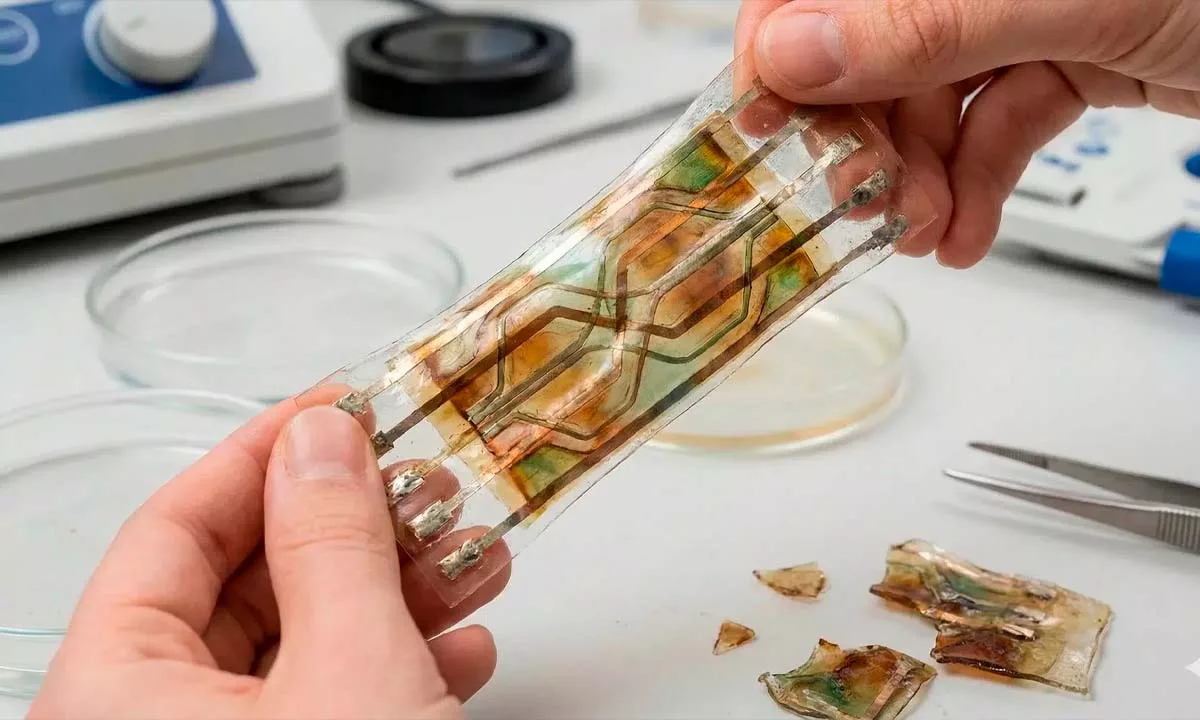 La innovación demuestra que es posible fabricar fuentes de energía seguras, extensibles y completamente degradables, reduciendo residuos electrónicos y abriendo paso a una nueva generación de tecnologías portátiles ecoamigables.