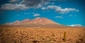 La iniciativa utiliza modelos predictivos, microalgas y monitoreo de precisión para recuperar terrenos áridos, mejorar su fertilidad y fortalecer la resiliencia de comunidades rurales.