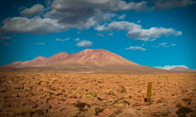La iniciativa utiliza modelos predictivos, microalgas y monitoreo de precisión para recuperar terrenos áridos, mejorar su fertilidad y fortalecer la resiliencia de comunidades rurales.