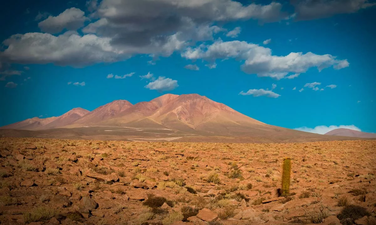La iniciativa utiliza modelos predictivos, microalgas y monitoreo de precisión para recuperar terrenos áridos, mejorar su fertilidad y fortalecer la resiliencia de comunidades rurales.