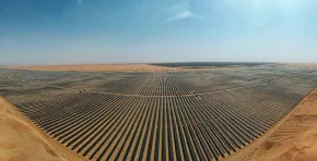 Investigadores señalan que estos “ecosistemas solares” podrían convertirse en un modelo global para regenerar desiertos y zonas degradadas, demostrando que la transición energética también puede restaurar biodiversidad.