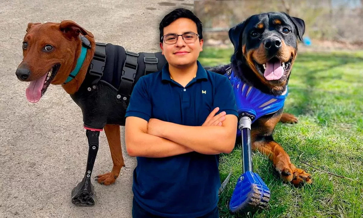 A través de Dog Motion Studio, el emprendimiento que lidera en UTEC, Héctor López combina bioingeniería, escaneo anatómico e impresión 3D para crear prótesis funcionales que están revolucionando la rehabilitación animal en el Perú. Foto: Stakeholders.