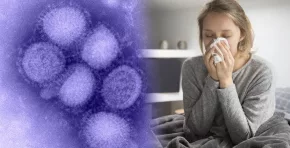 La gripe H3N2 subclado K puede evadir parcialmente la inmunidad y contagiarse con rapidez en espacios cerrados, mientras mantiene en alerta a las autoridades sanitarias. Foto: Stakeholders.