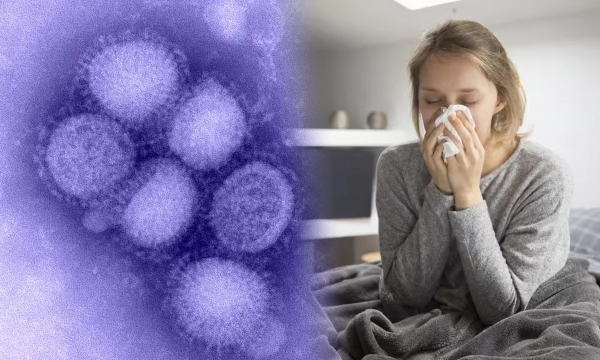 La gripe H3N2 subclado K puede evadir parcialmente la inmunidad y contagiarse con rapidez en espacios cerrados, mientras mantiene en alerta a las autoridades sanitarias. Foto: Stakeholders.