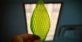 Científicos británicos presentan un dispositivo biohíbrido que imita la fotosíntesis, opera más de 24 horas sin interrupciones y produce energía sin subproductos tóxicos, abriendo la puerta a una industria más sostenible y a una transición energética más rápida.