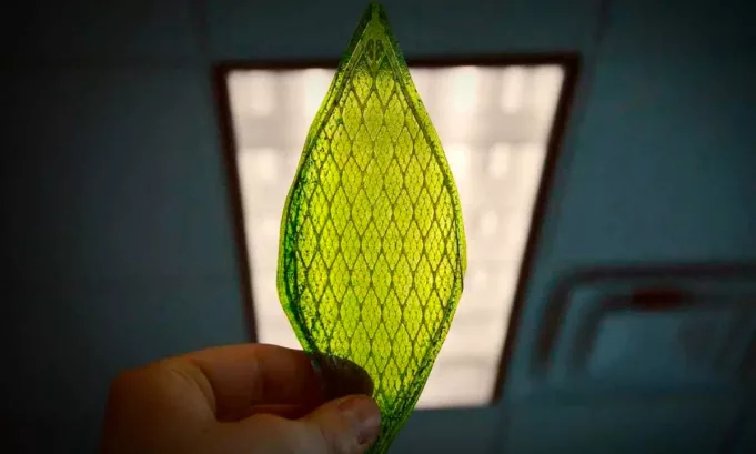 Científicos británicos presentan un dispositivo biohíbrido que imita la fotosíntesis, opera más de 24 horas sin interrupciones y produce energía sin subproductos tóxicos, abriendo la puerta a una industria más sostenible y a una transición energética más rápida.