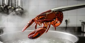 El Reino Unido refuerza su legislación de bienestar animal al prohibir hervir langostas vivas, extender la protección legal a crustáceos y cefalópodos, y exigir cambios en los protocolos de la industria alimentaria.