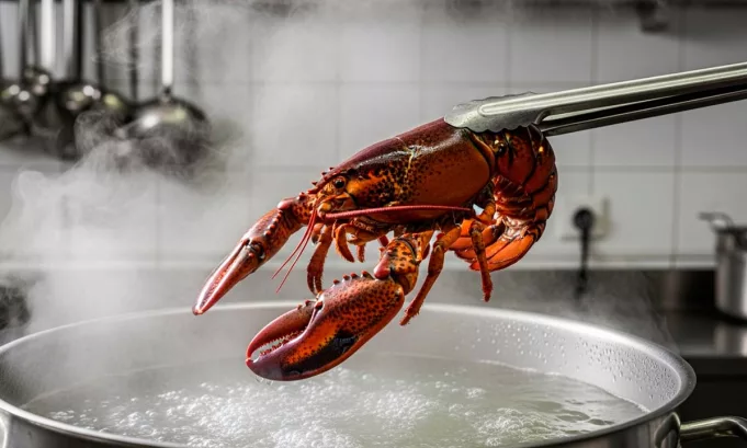 El Reino Unido refuerza su legislación de bienestar animal al prohibir hervir langostas vivas, extender la protección legal a crustáceos y cefalópodos, y exigir cambios en los protocolos de la industria alimentaria.