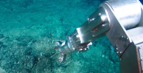 La investigación, realizada durante cinco años en la Zona Clarion-Clipperton, confirma que incluso pruebas a pequeña escala generan alteraciones severas en la biodiversidad del fondo oceánico.