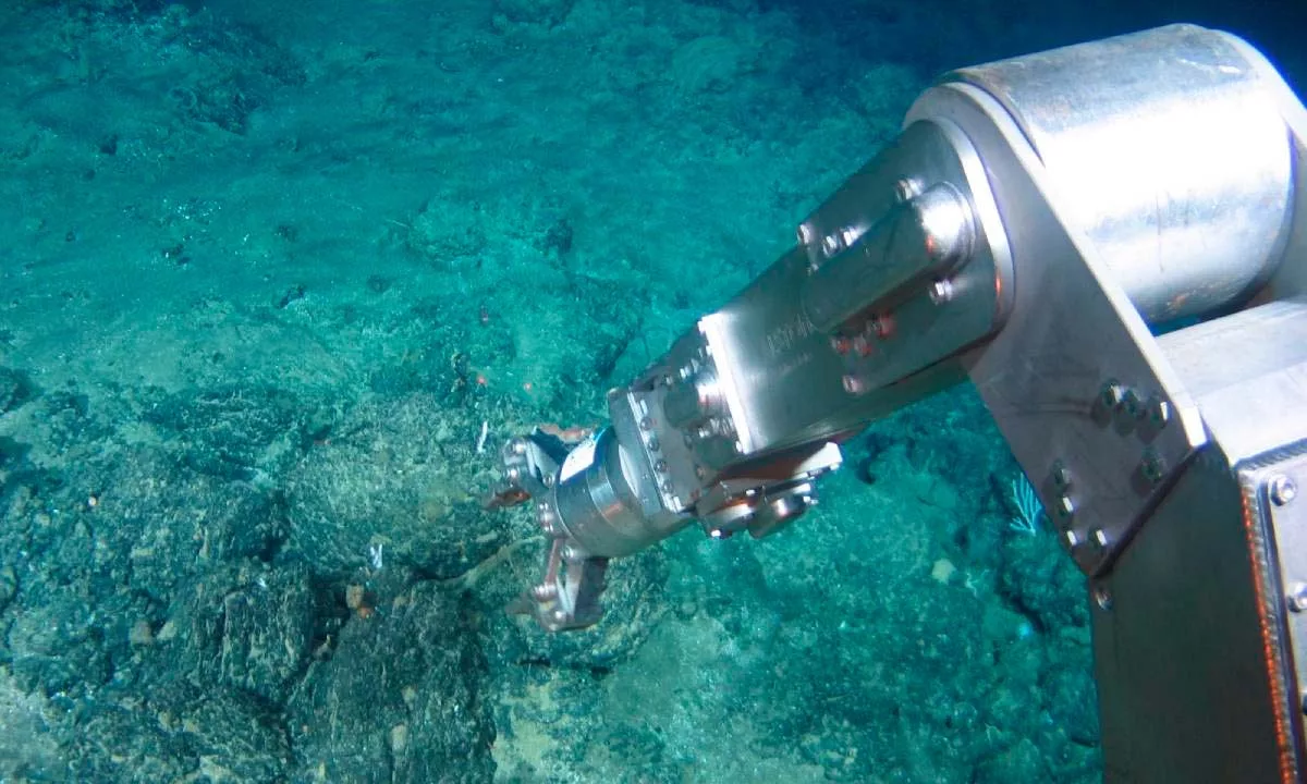 La investigación, realizada durante cinco años en la Zona Clarion-Clipperton, confirma que incluso pruebas a pequeña escala generan alteraciones severas en la biodiversidad del fondo oceánico.