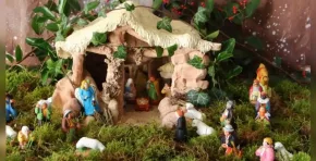 SERFOR advierte que la extracción ilegal de musgo sigue en aumento durante las fiestas navideñas y recuerda que su uso afecta gravemente a los ecosistemas, por lo que recomienda materiales alternativos y sostenibles para los nacimientos.